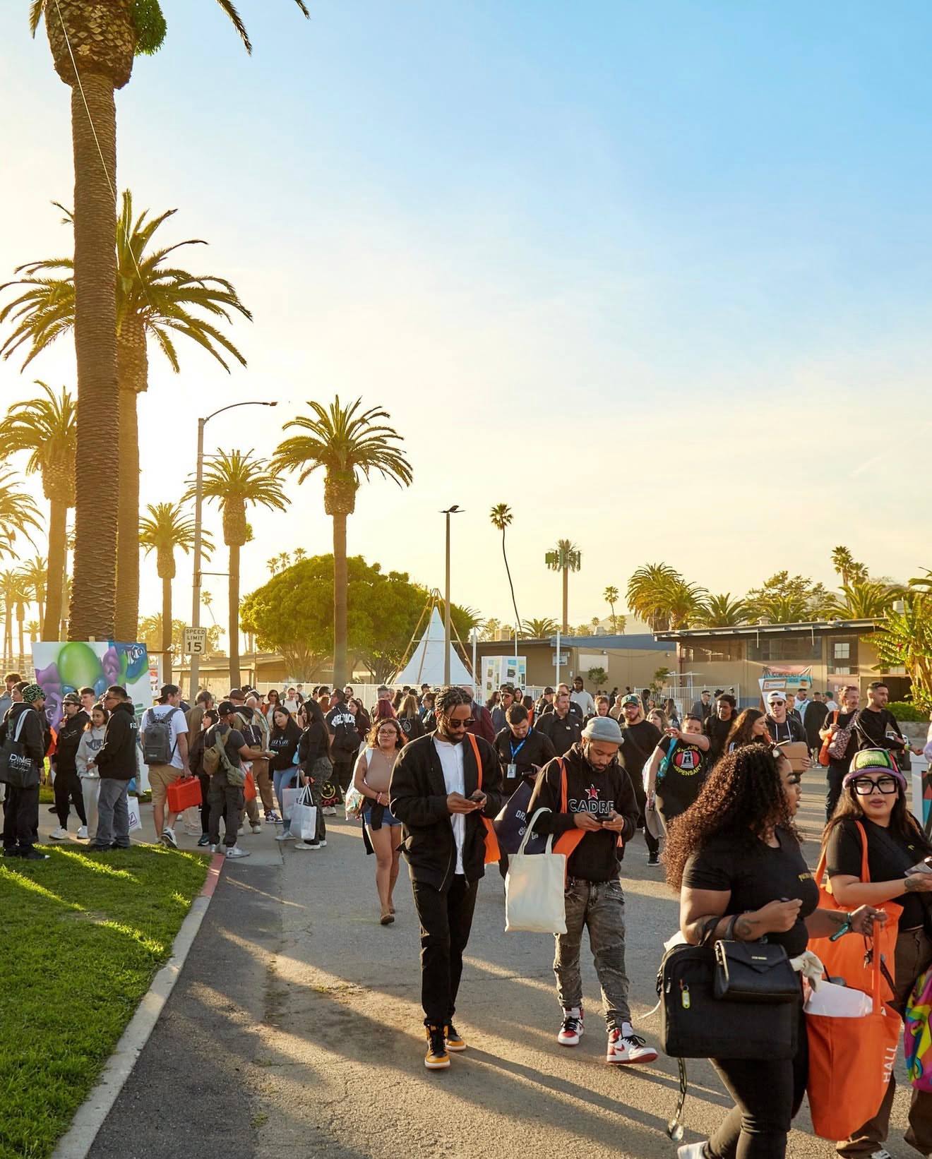 Hall of Flowers Distro for Dispensaries: Is It Worth It?