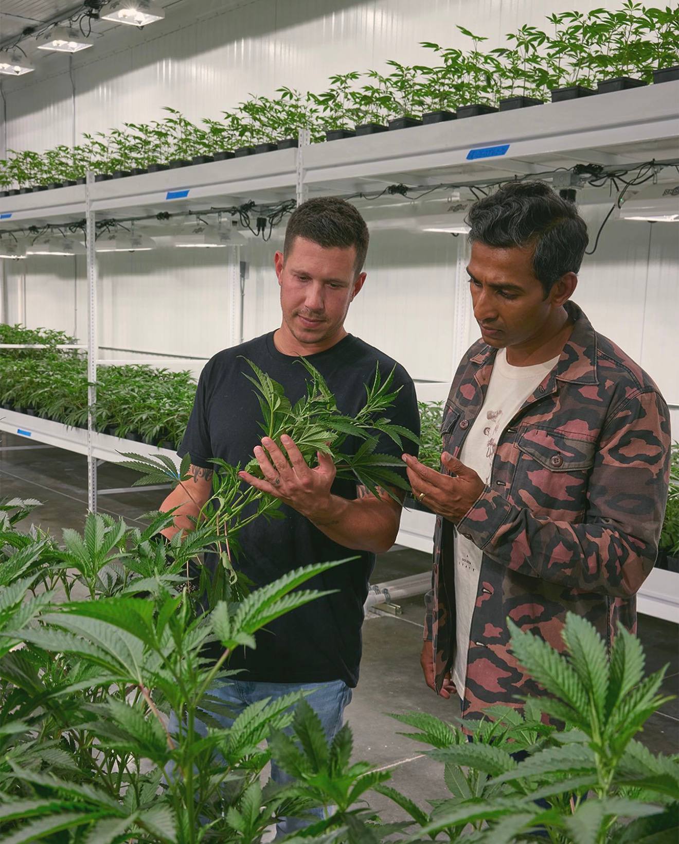 Behind the Scenes: How the Distro Platform Works