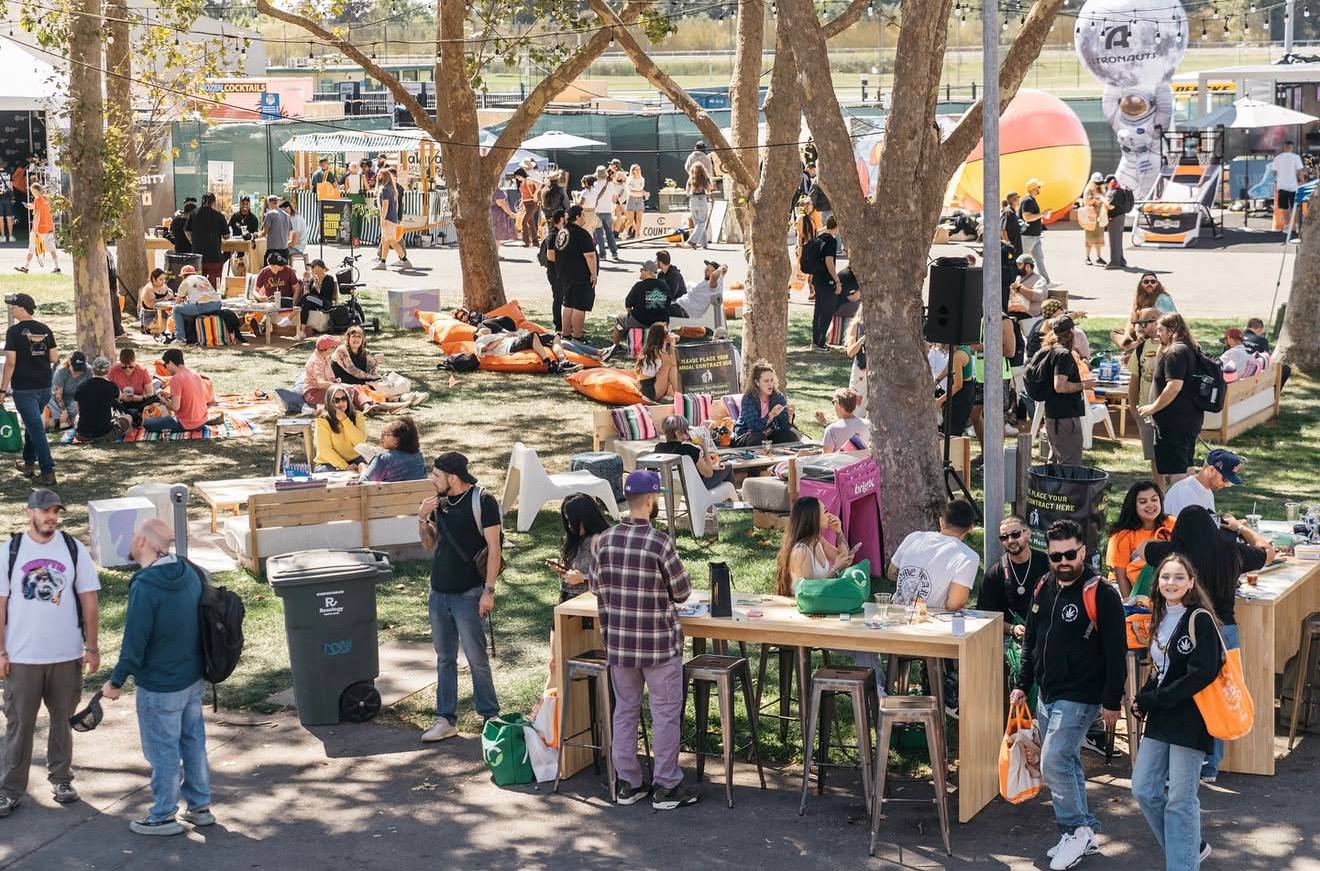 B2B Cannabis Distribution: From Grower to Dispensary