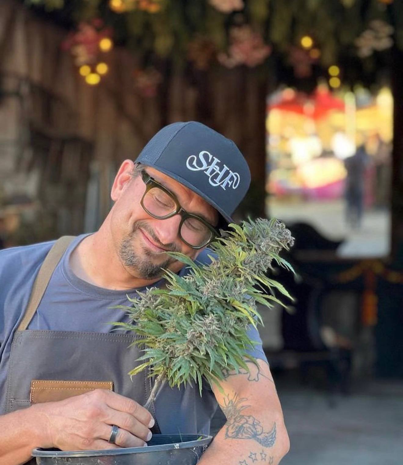 Indoor vs Greenhouse vs Outdoor Flower for Wholesale | Buyer Guide