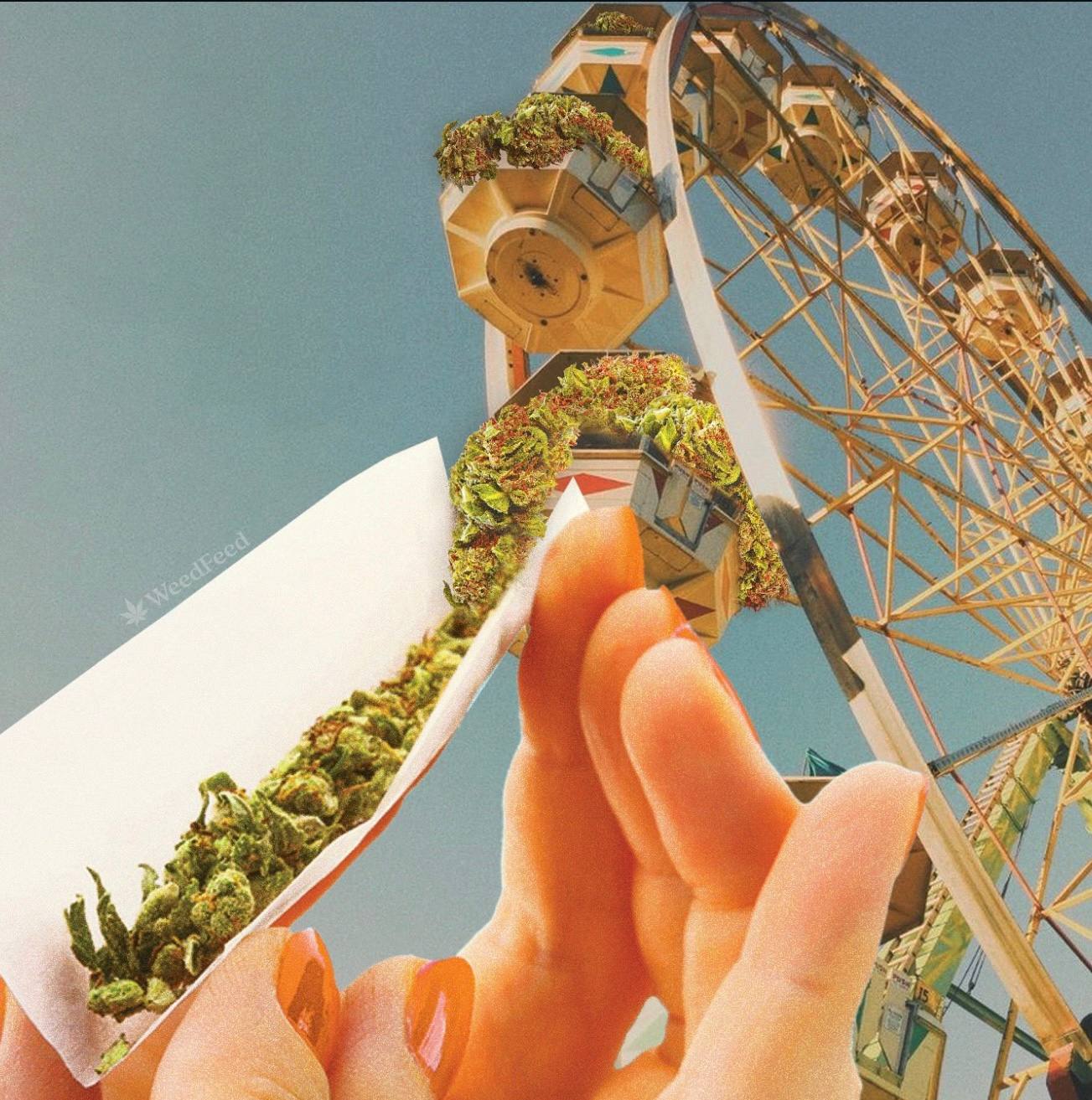 How Hall of Flowers Distro Simplifies Supplier Discovery for Cannabis Buyers