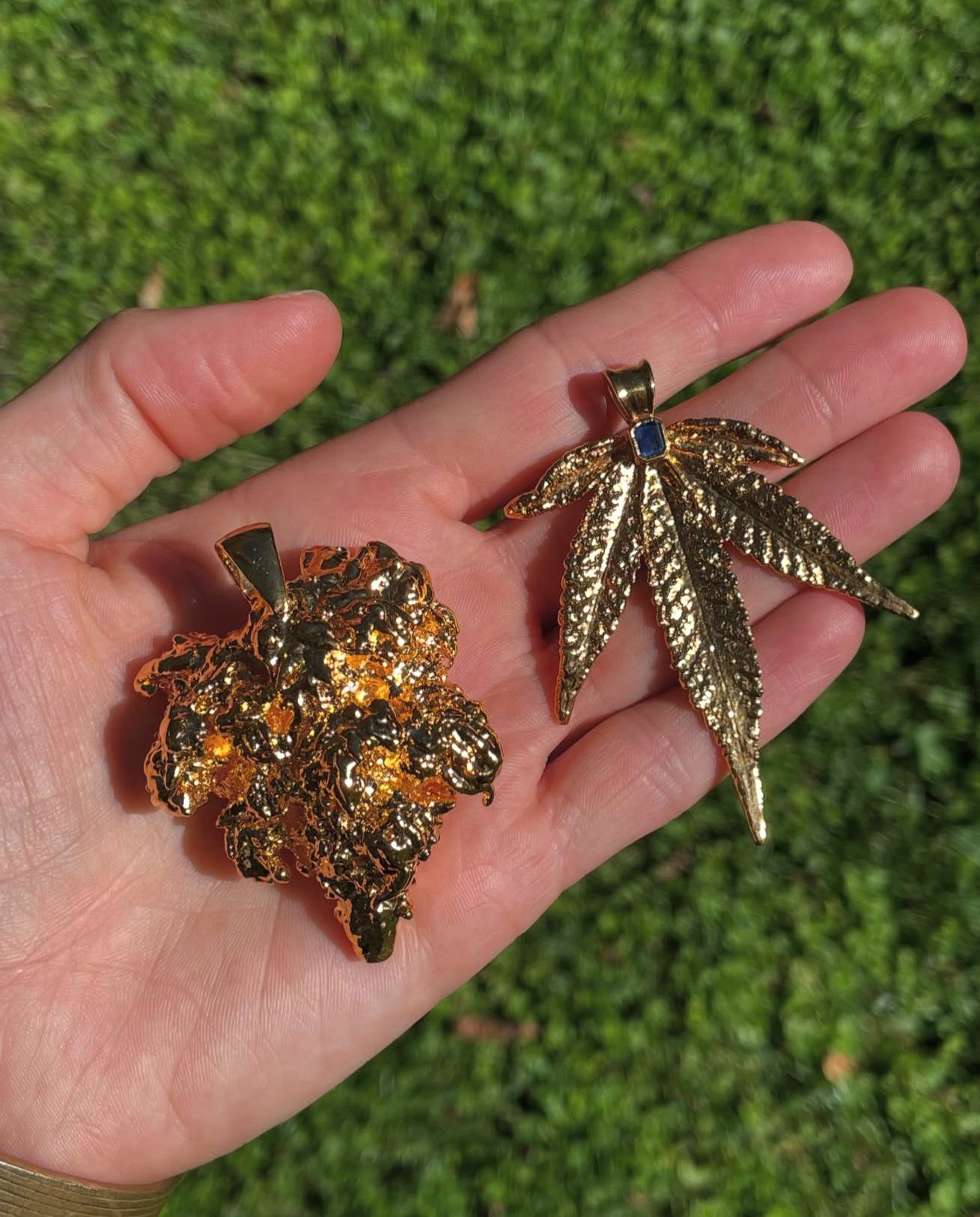 Fresh vs Cured Flower: Which Cannabis Sells Better in 2026?