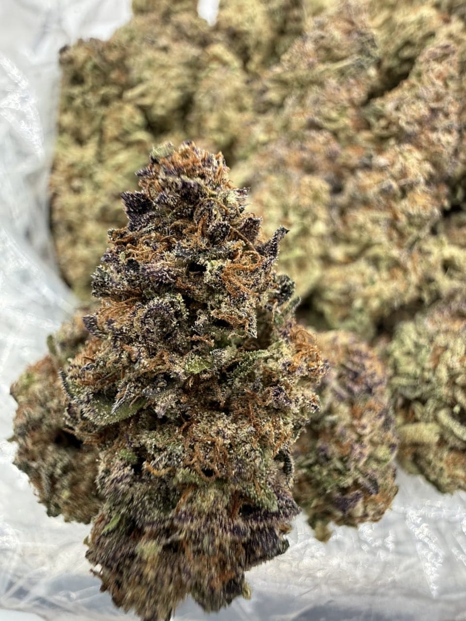 93 Octane Strain | Premium Exotic Gas Flower