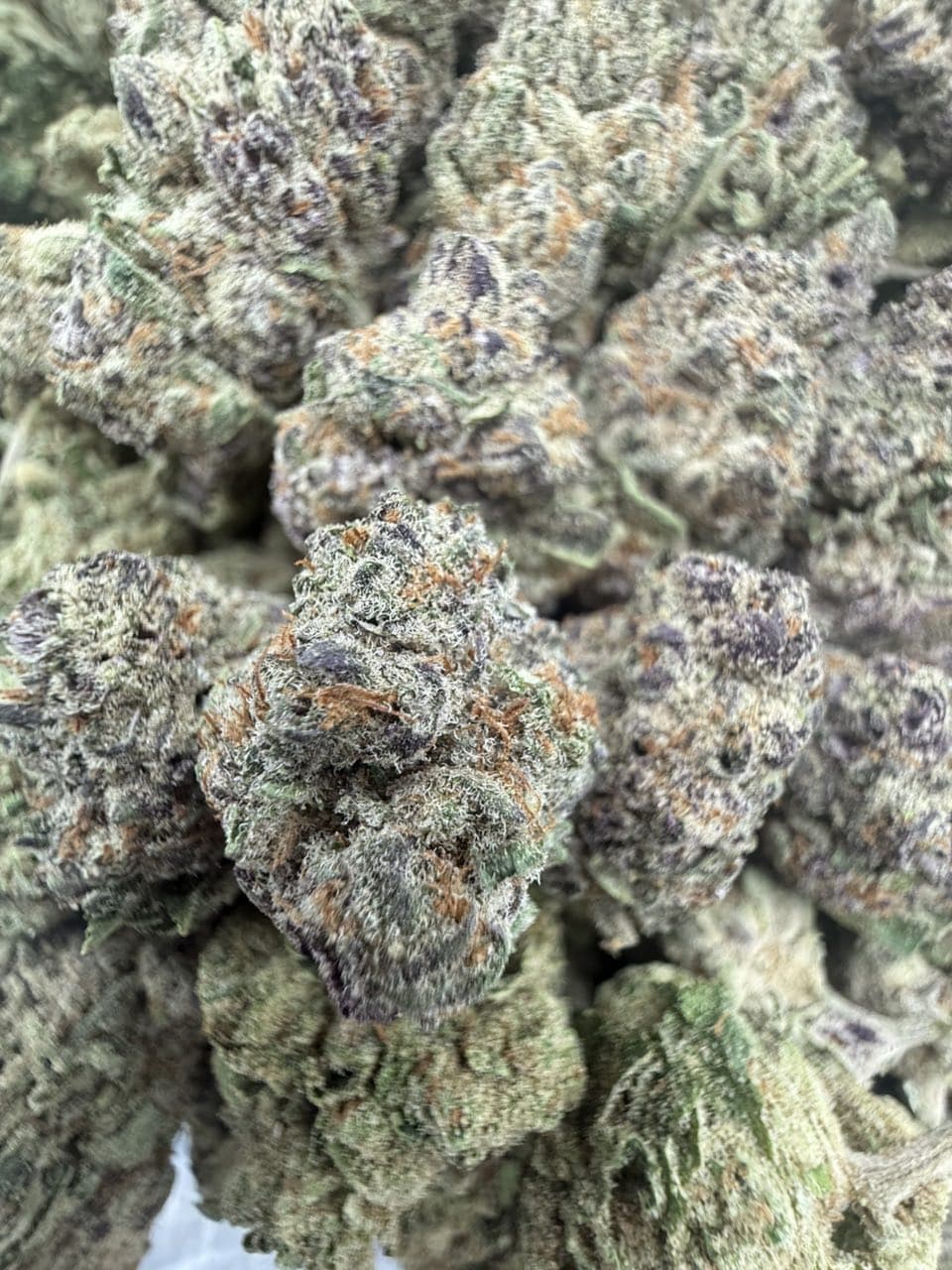 MARSHMELLOW by Hall of Flowers Distro | Exotic Weed