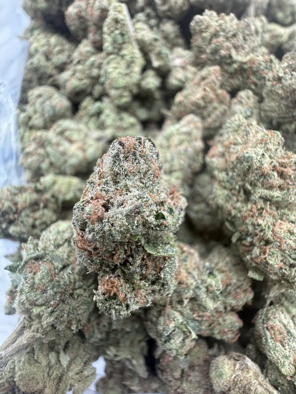 WHITE CHERRY GELATO by Hall of Flowers Distro | Exotic