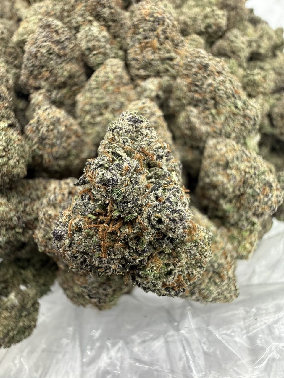Candy Starburst by Hall of Flowers Distro Weed Strain