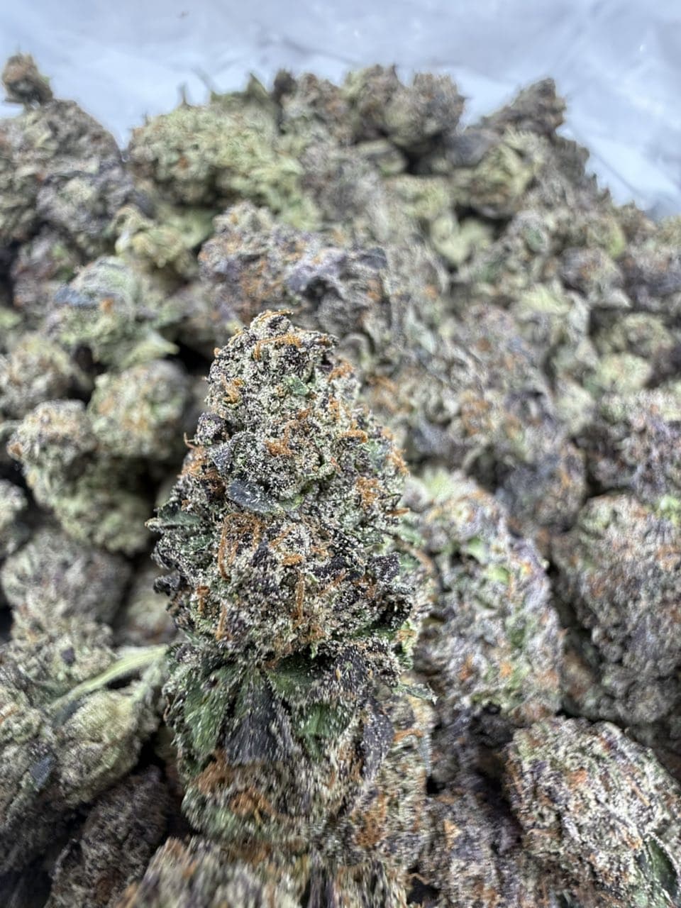 White Zushie by Hall of Flowers Distro Strain Weed