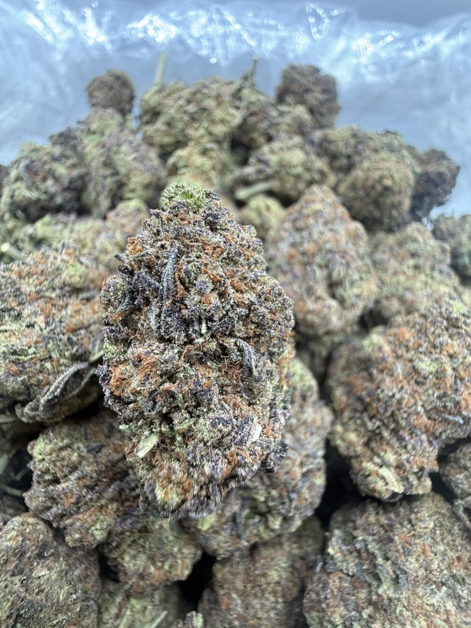 Peanut Butter Runtz by Hall of Flowers Distro Weed